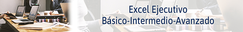 Banner - Excel Ejecutivo Básico-Intermedio-  Avanzado (CACP PALACIO DE LA AUTONOMÍA)